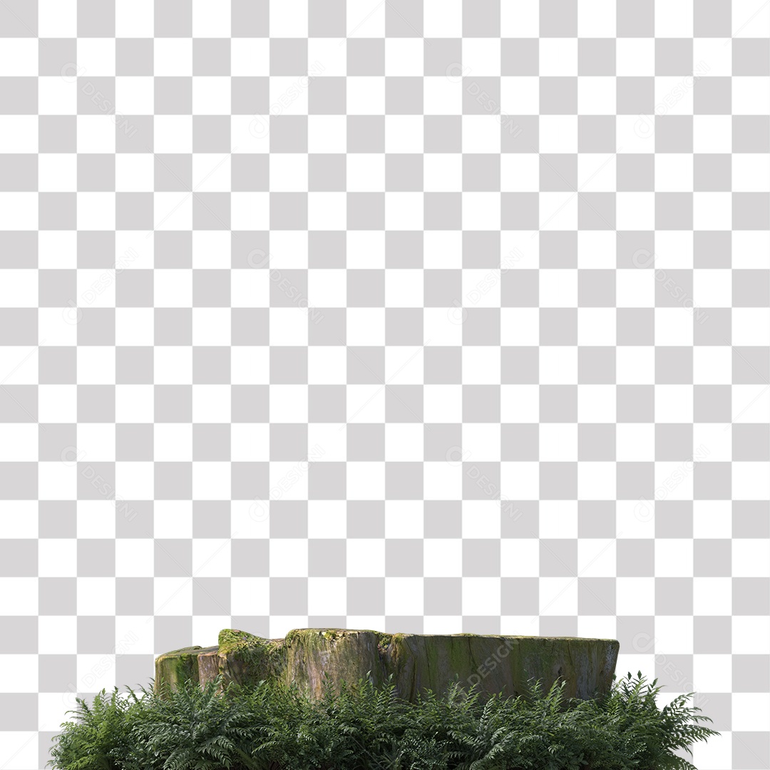 Tronco de árvore Planta PNG Transparente