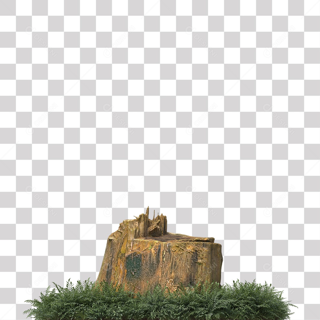 Tronco de árvore Planta PNG Transparente