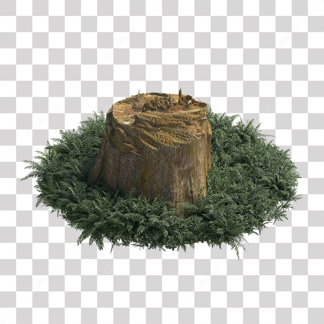 Tronco de árvore Planta PNG Transparente