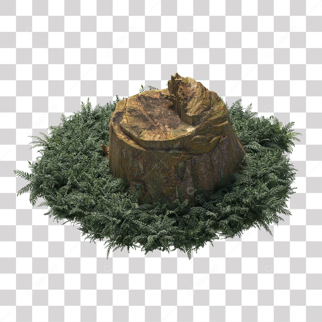 Tronco de árvore Planta PNG Transparente