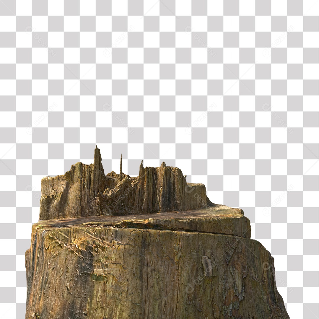 Tronco de árvore Planta PNG Transparente