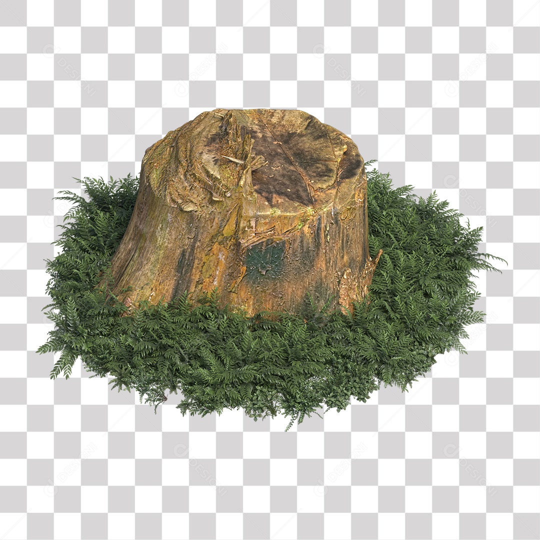 Tronco de árvore Planta PNG Transparente