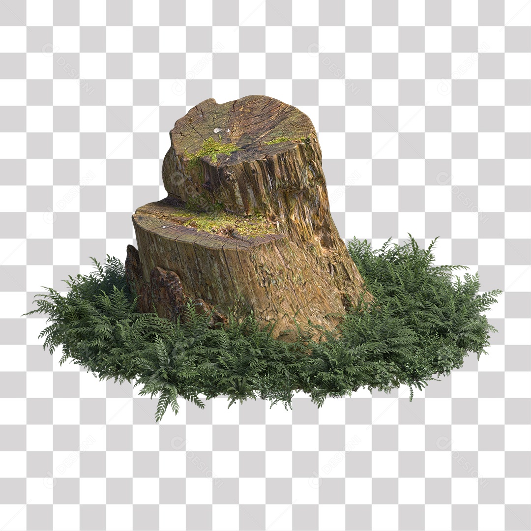 Tronco de árvore Planta PNG Transparente