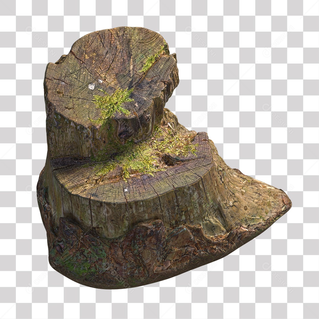 Tronco de árvore Planta PNG Transparente