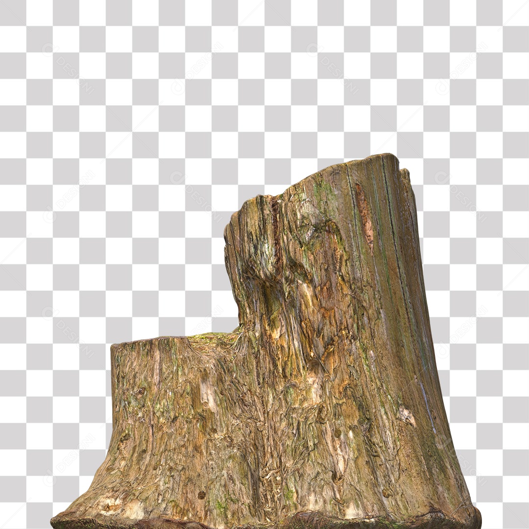 Tronco de árvore Planta PNG Transparente