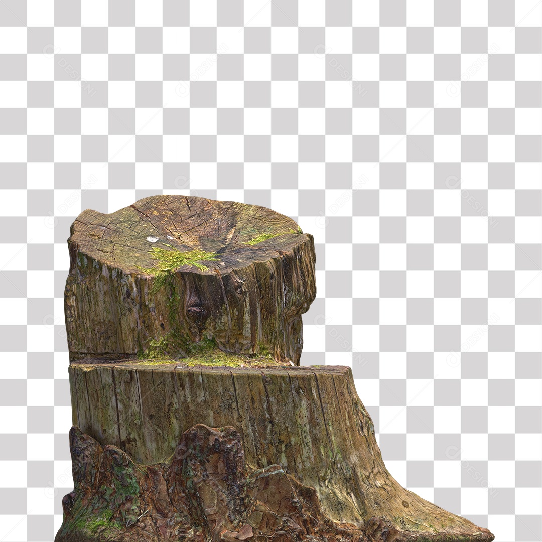 Tronco de árvore Planta PNG Transparente