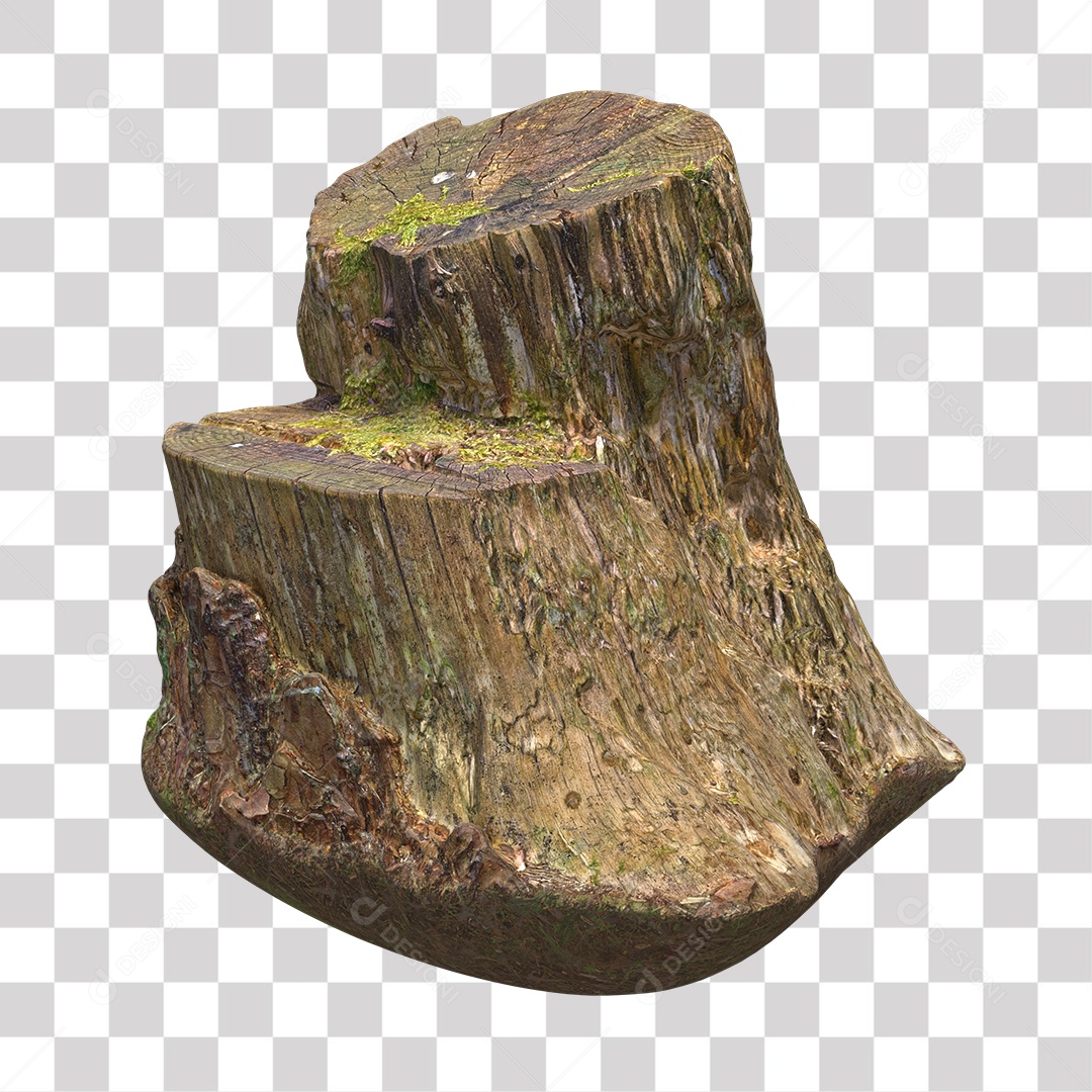 Tronco de árvore Planta PNG Transparente