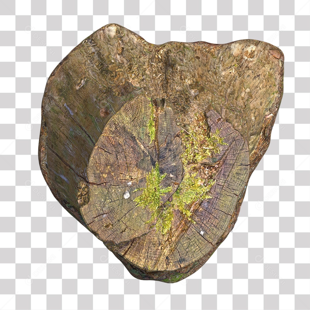 Tronco de árvore Planta PNG Transparente