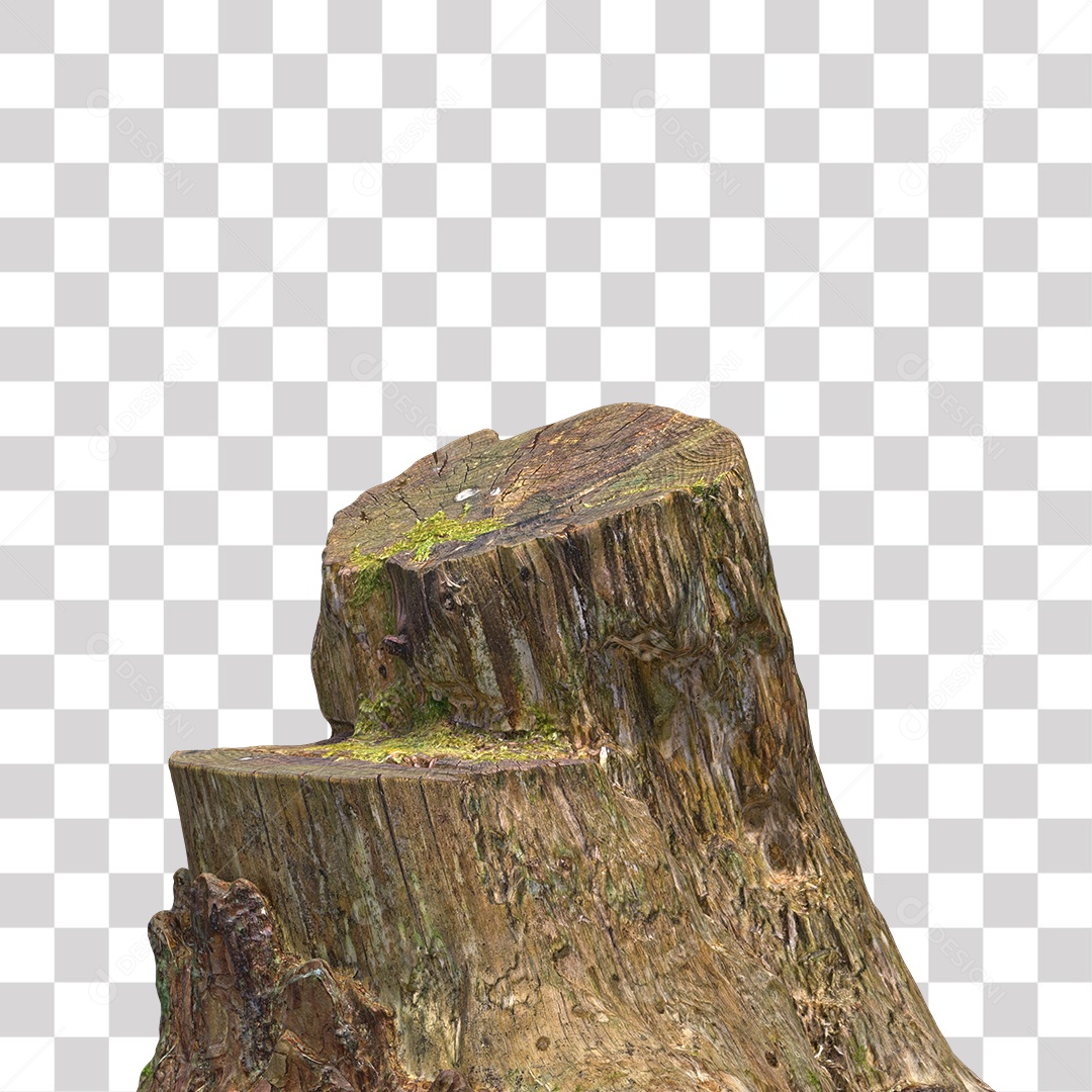 Tronco de árvore Planta PNG Transparente