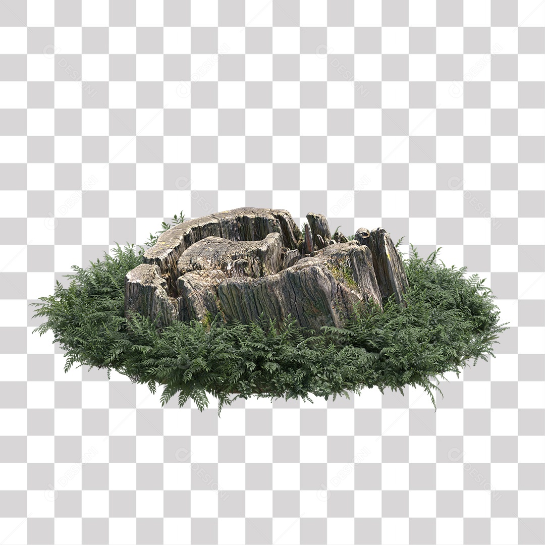 Tree trunk Plant Transparent PNG