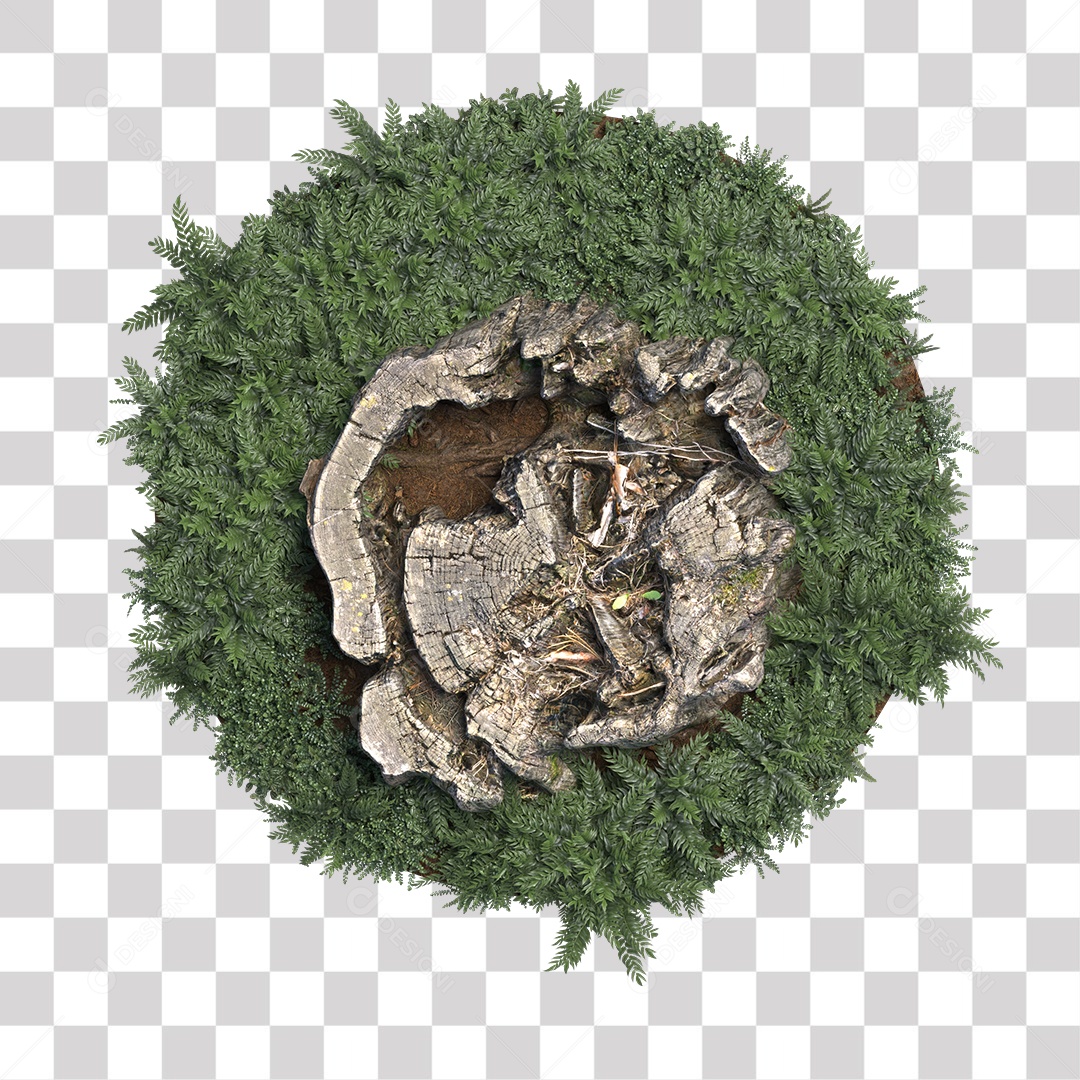 Tronco de árvore Planta PNG Transparente