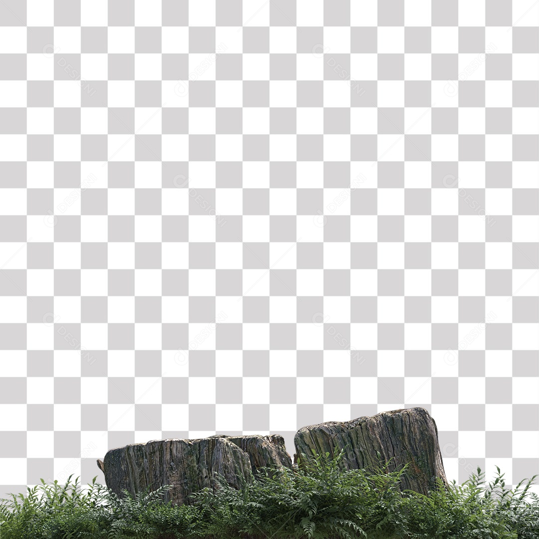 Tronco de árvore Planta PNG Transparente