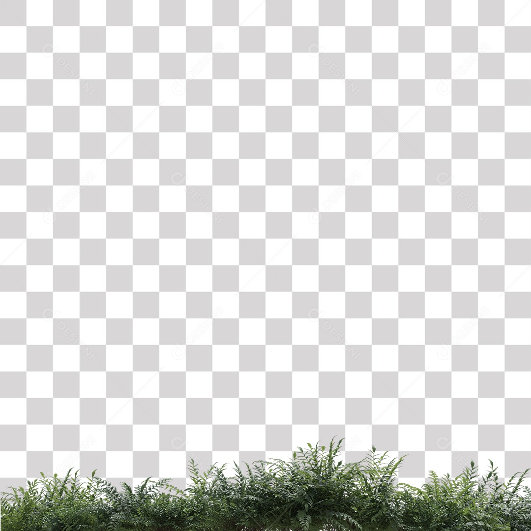 Tronco de árvore Planta PNG Transparente