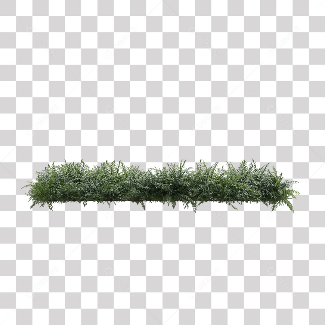 Planta com folhas verdes pedra PNG Transparente