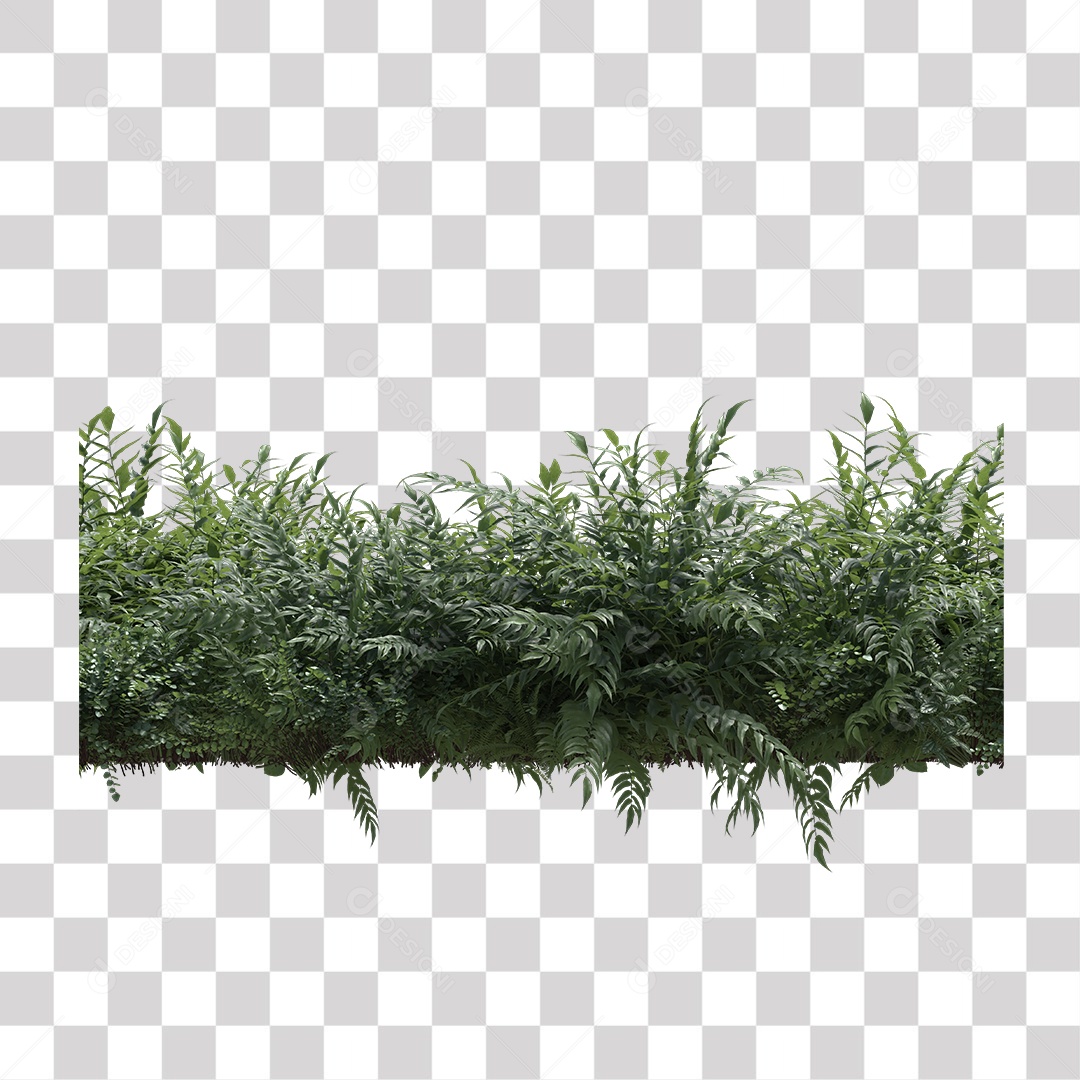 Planta com folhas verdes pedra PNG Transparente