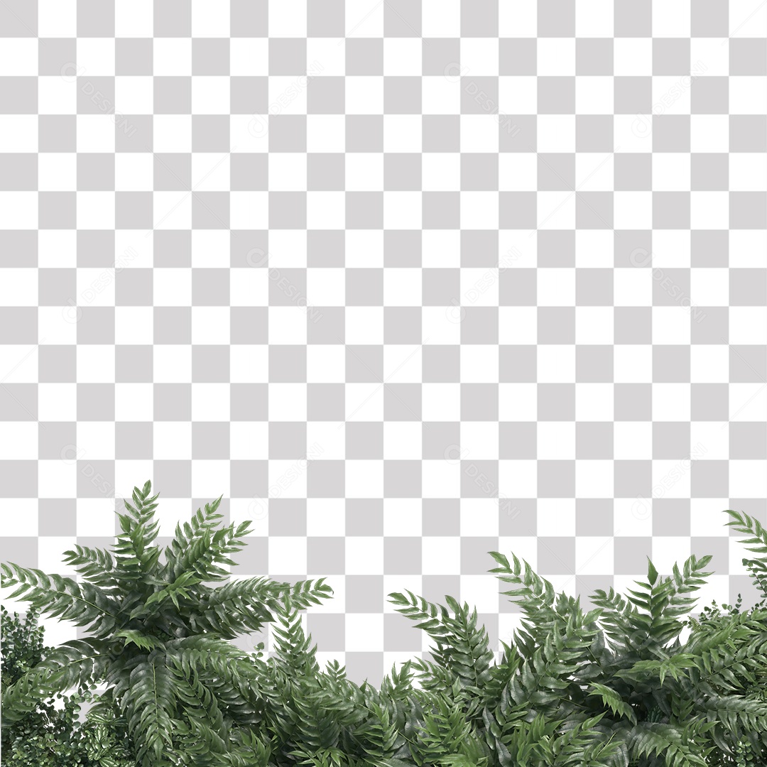 Planta com folhas verdes pedra PNG Transparente