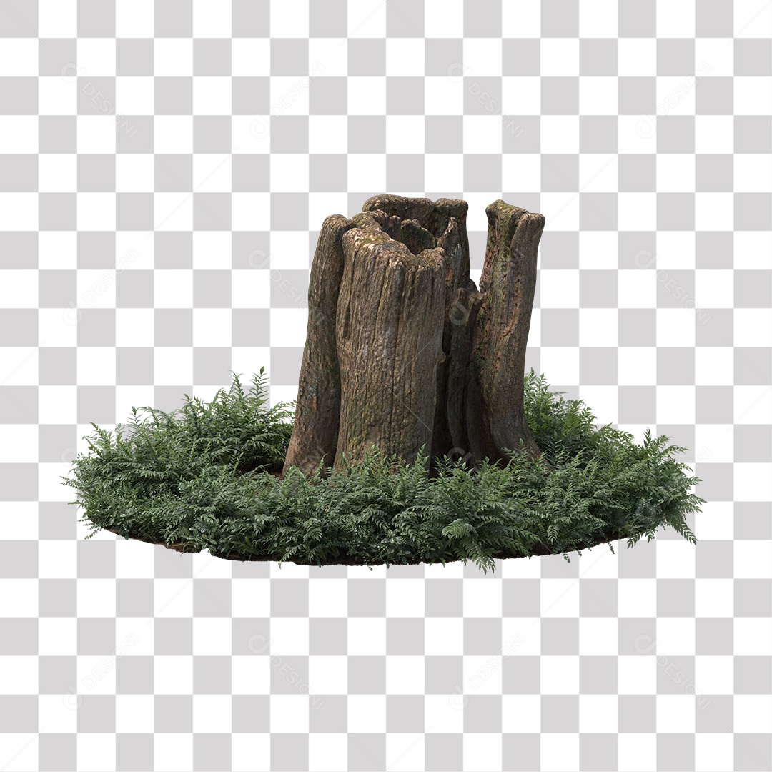 Tronco de árvore Planta PNG Transparente