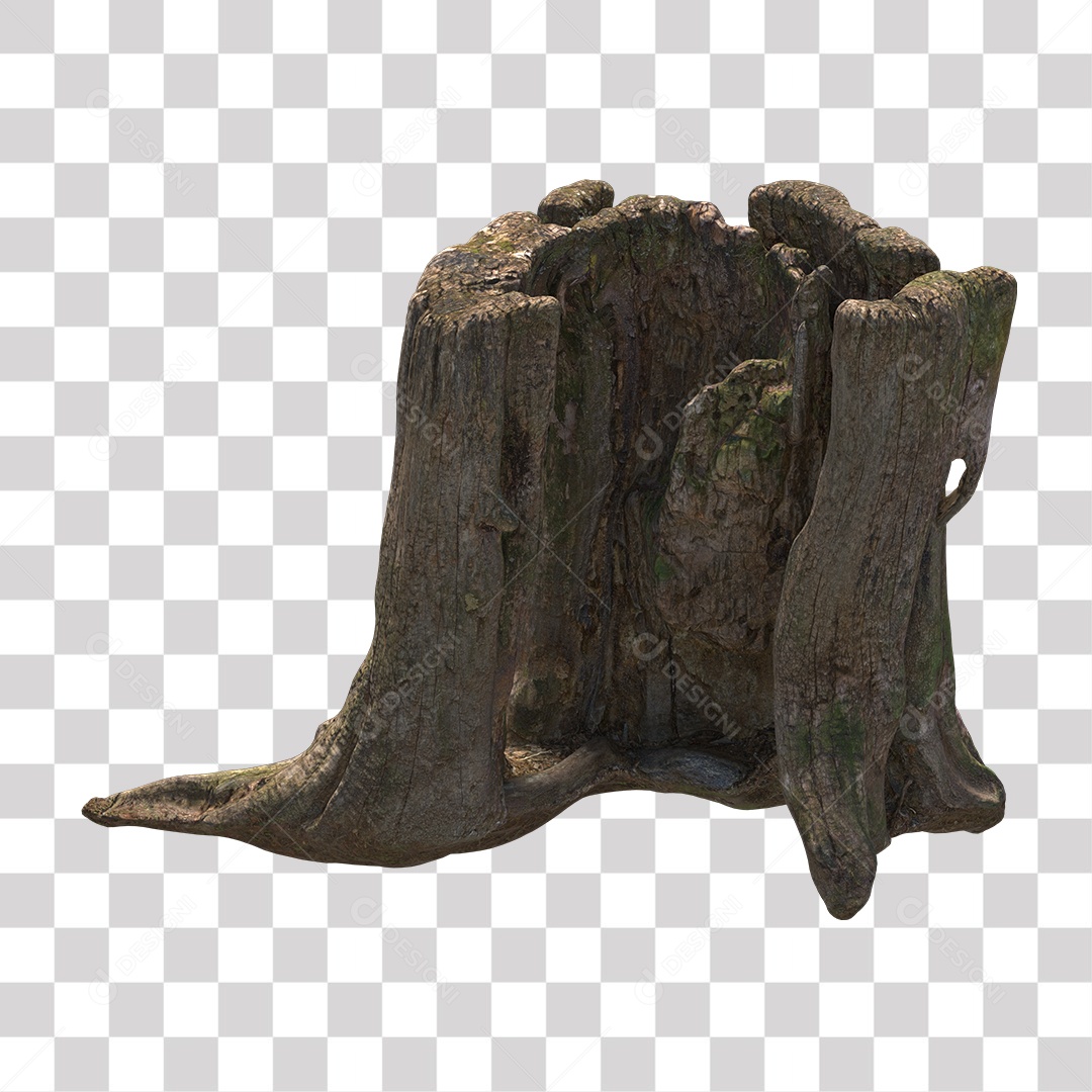 Tronco de árvore Planta PNG Transparente