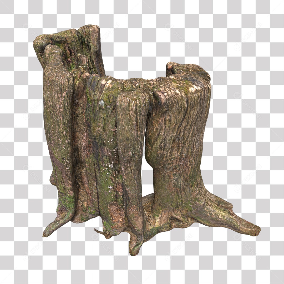 Tree trunk Plant Transparent PNG