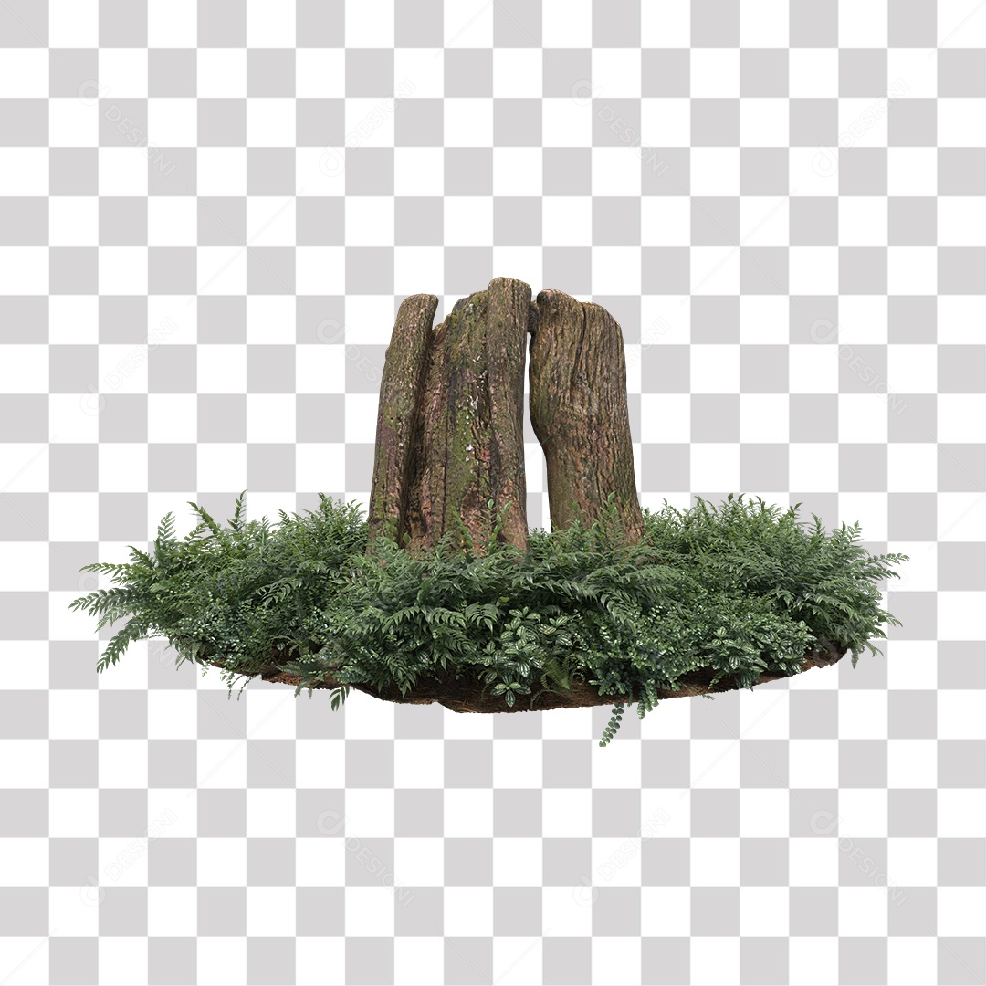 Tronco de árvore Planta PNG Transparente