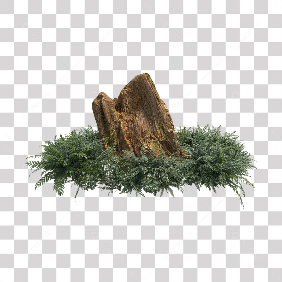 Tronco de árvore Planta PNG Transparente