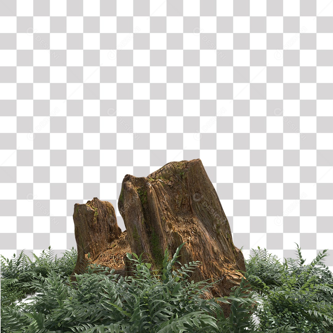 Tronco de árvore Planta PNG Transparente