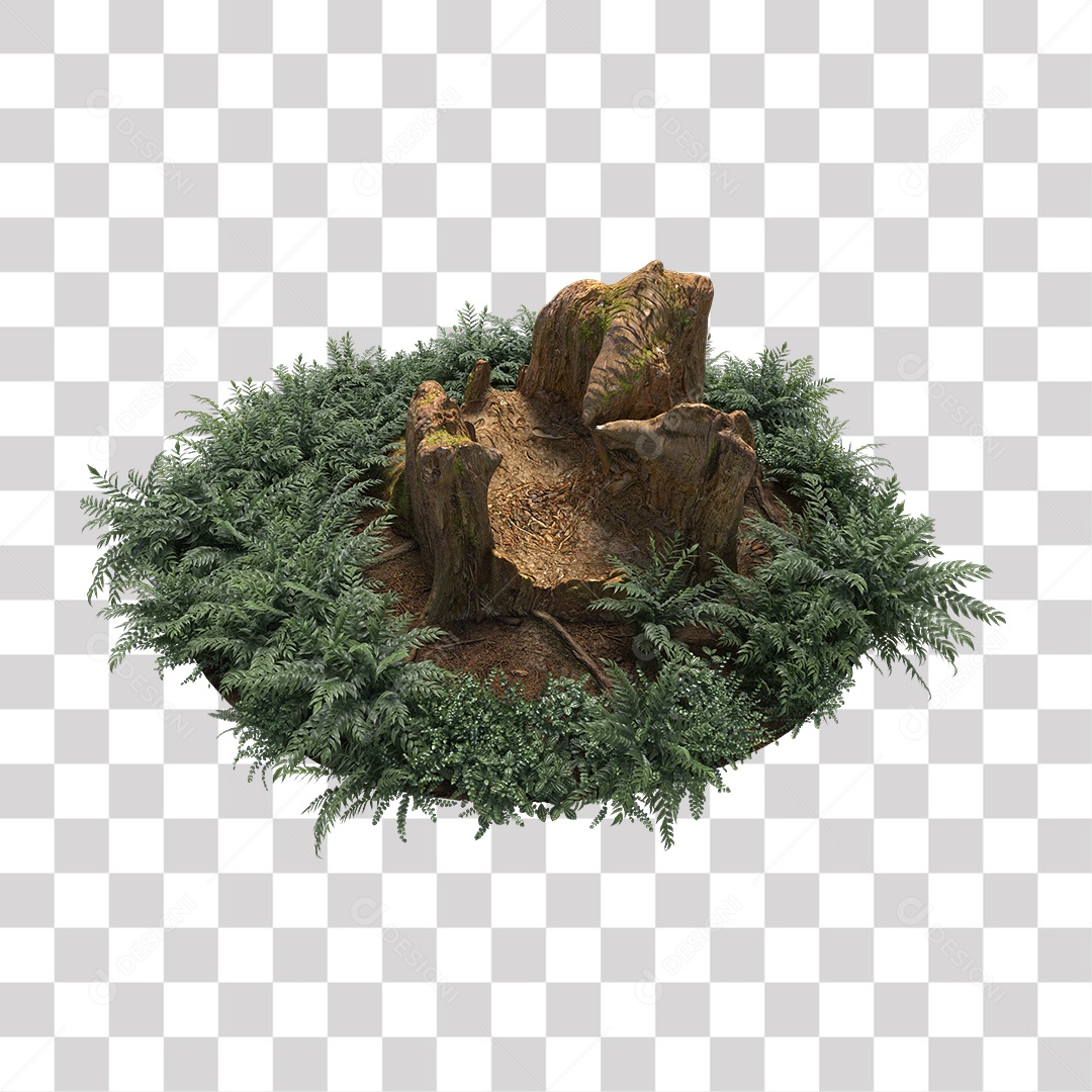 Tronco de árvore Planta PNG Transparente