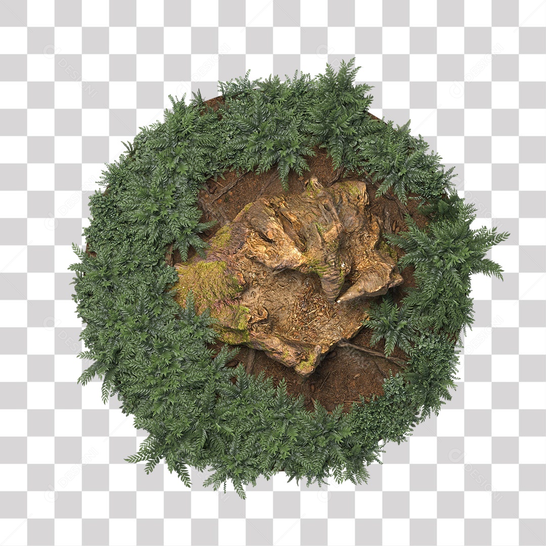 Tronco de árvore Planta PNG Transparente