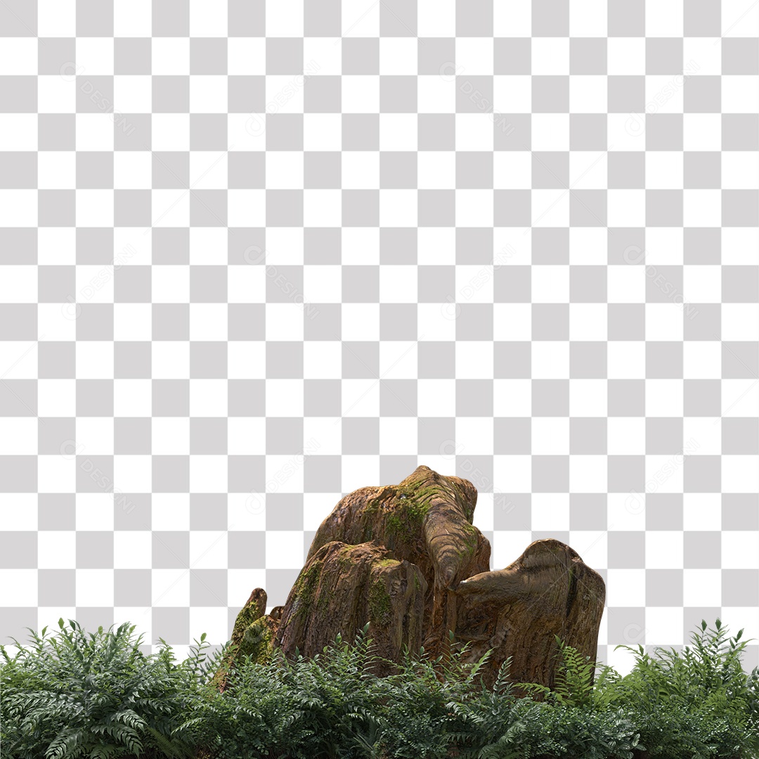 Tronco de árvore Planta PNG Transparente