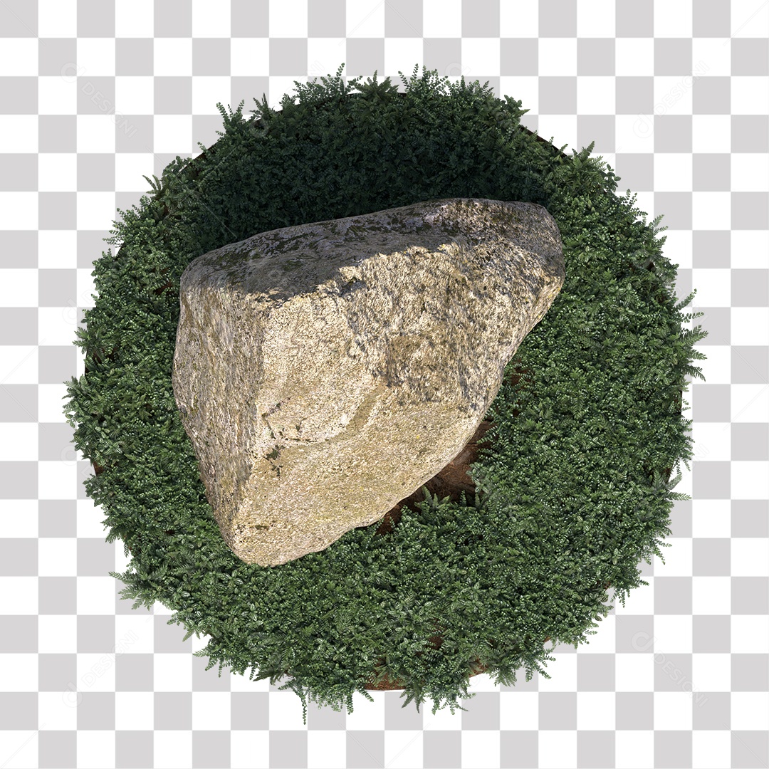 Planta com folhas verdes pedra PNG Transparente