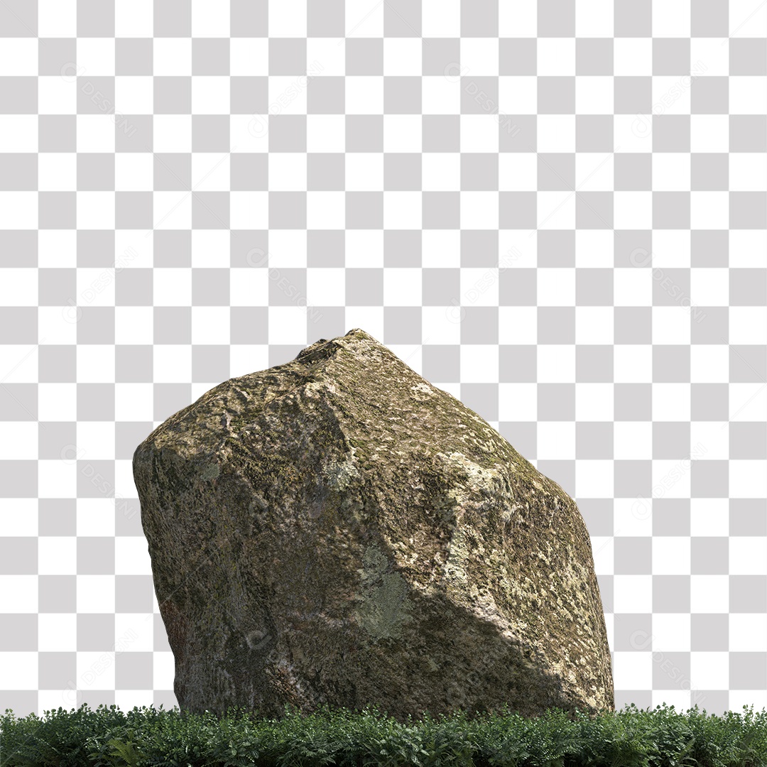 Planta com folhas verdes pedra PNG Transparente