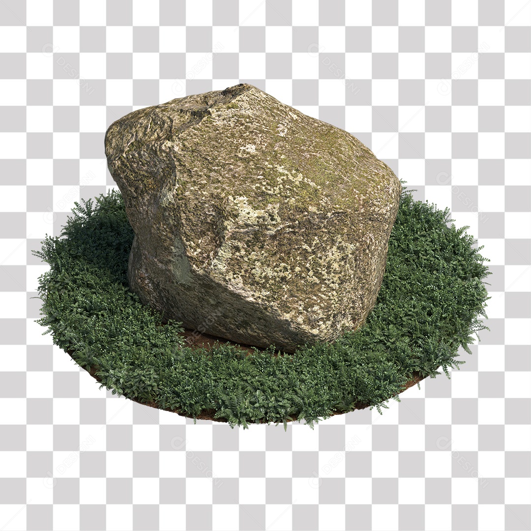 Planta com folhas verdes pedra PNG Transparente