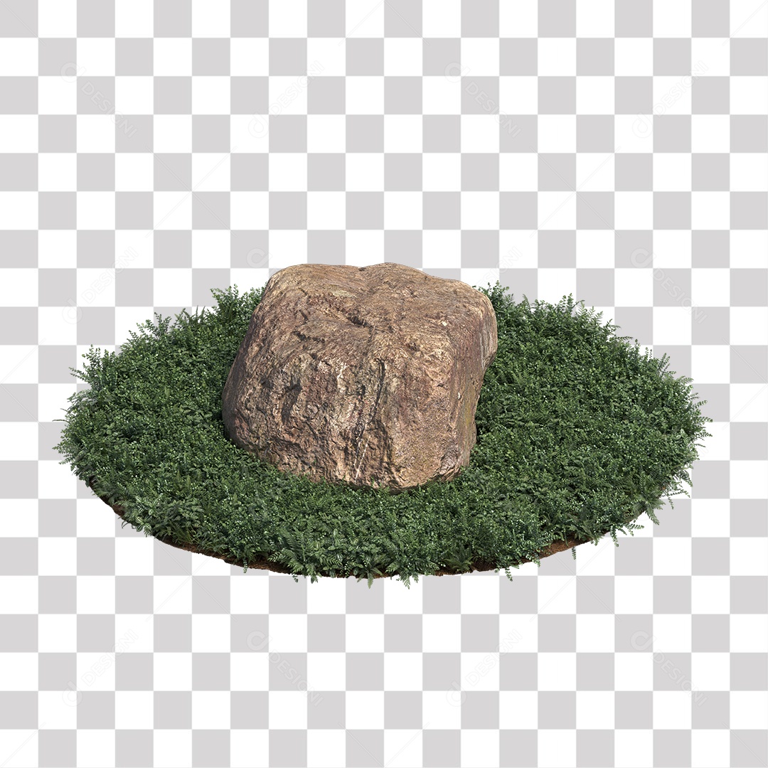 Planta com folhas verdes pedra PNG Transparente