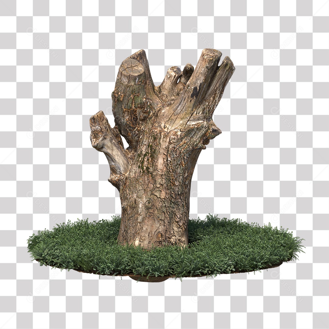 Tronco de árvore Planta PNG Transparente