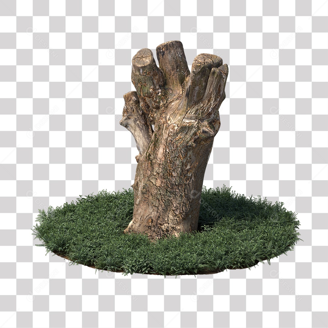 Tronco de árvore Planta PNG Transparente