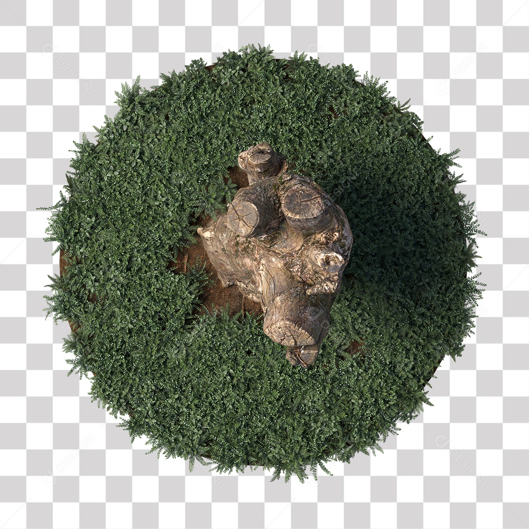 Tronco de árvore Planta PNG Transparente