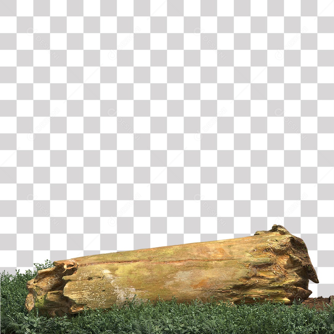 Tronco de árvore Planta PNG Transparente