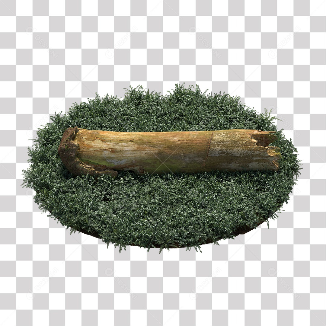 Tronco de árvore Planta PNG Transparente