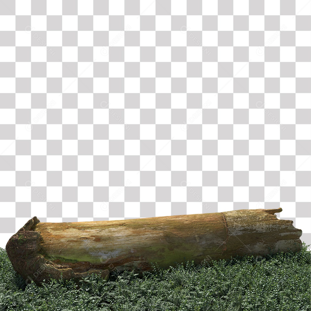 Tronco de árvore Planta PNG Transparente