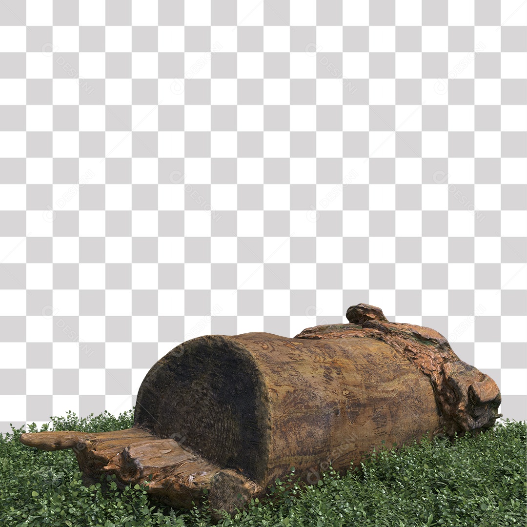 Tronco de árvore Planta PNG Transparente