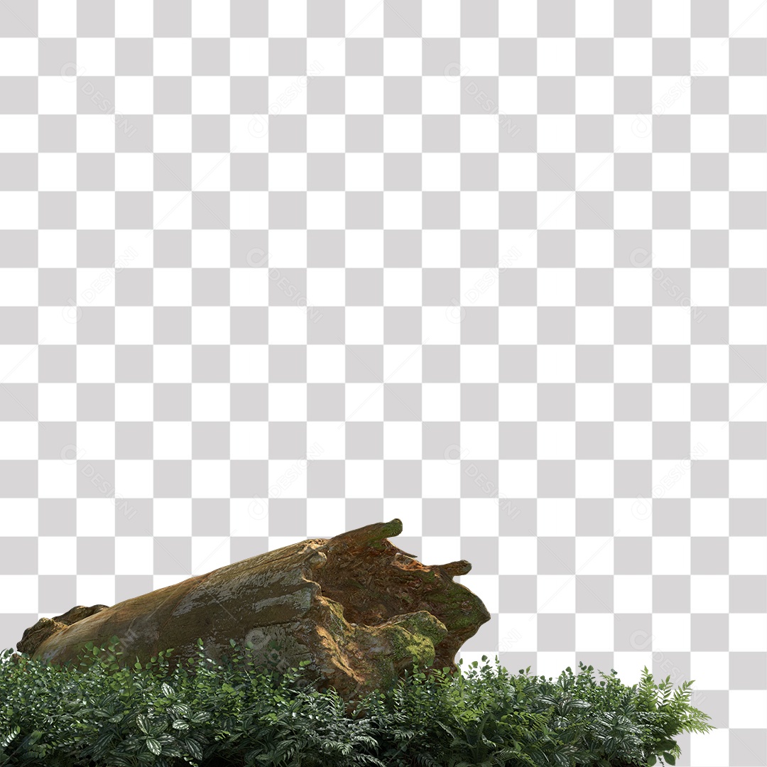 Tronco de árvore Planta PNG Transparente