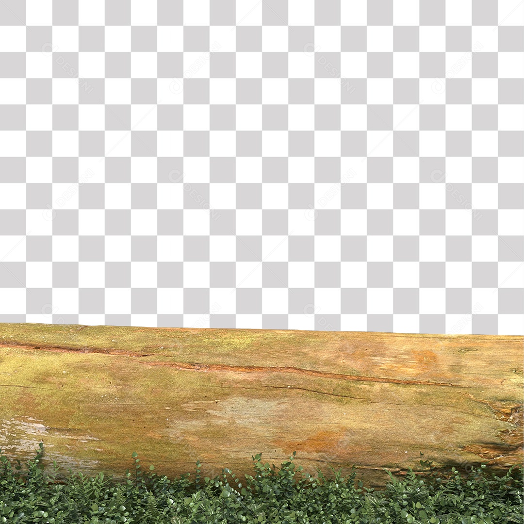 Tronco de árvore Planta PNG Transparente