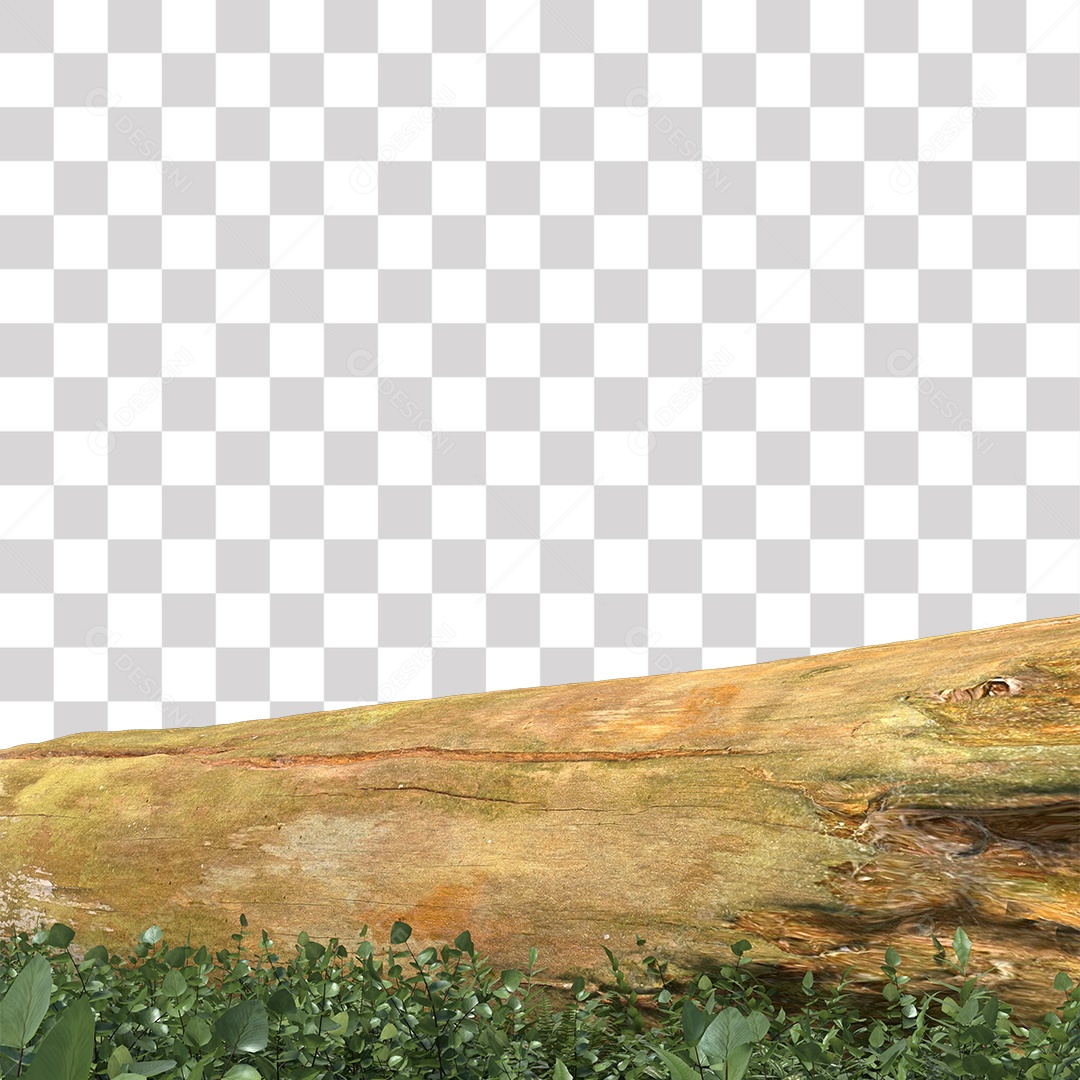 Tronco de árvore Planta PNG Transparente