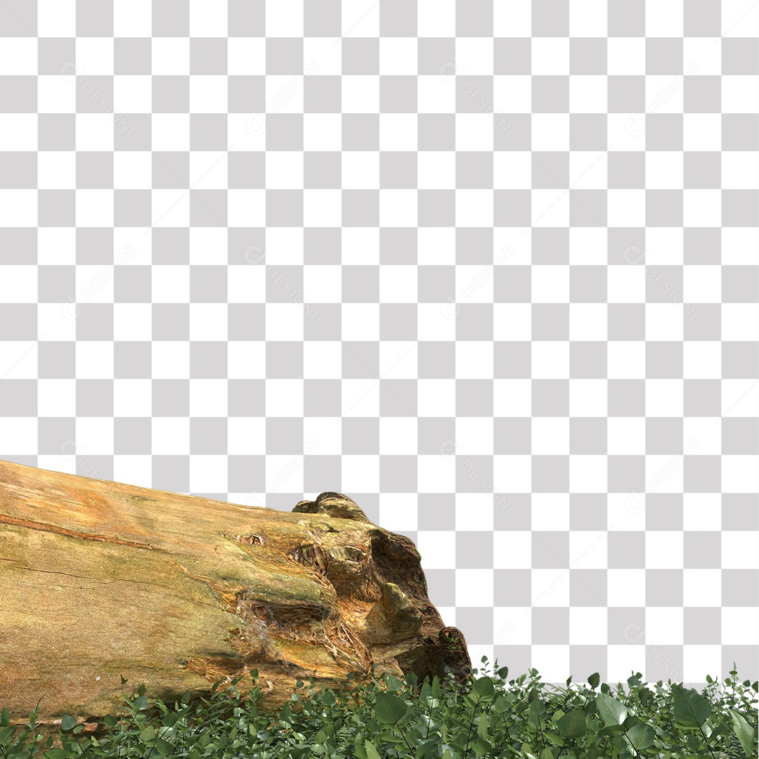 Tronco de árvore Planta PNG Transparente