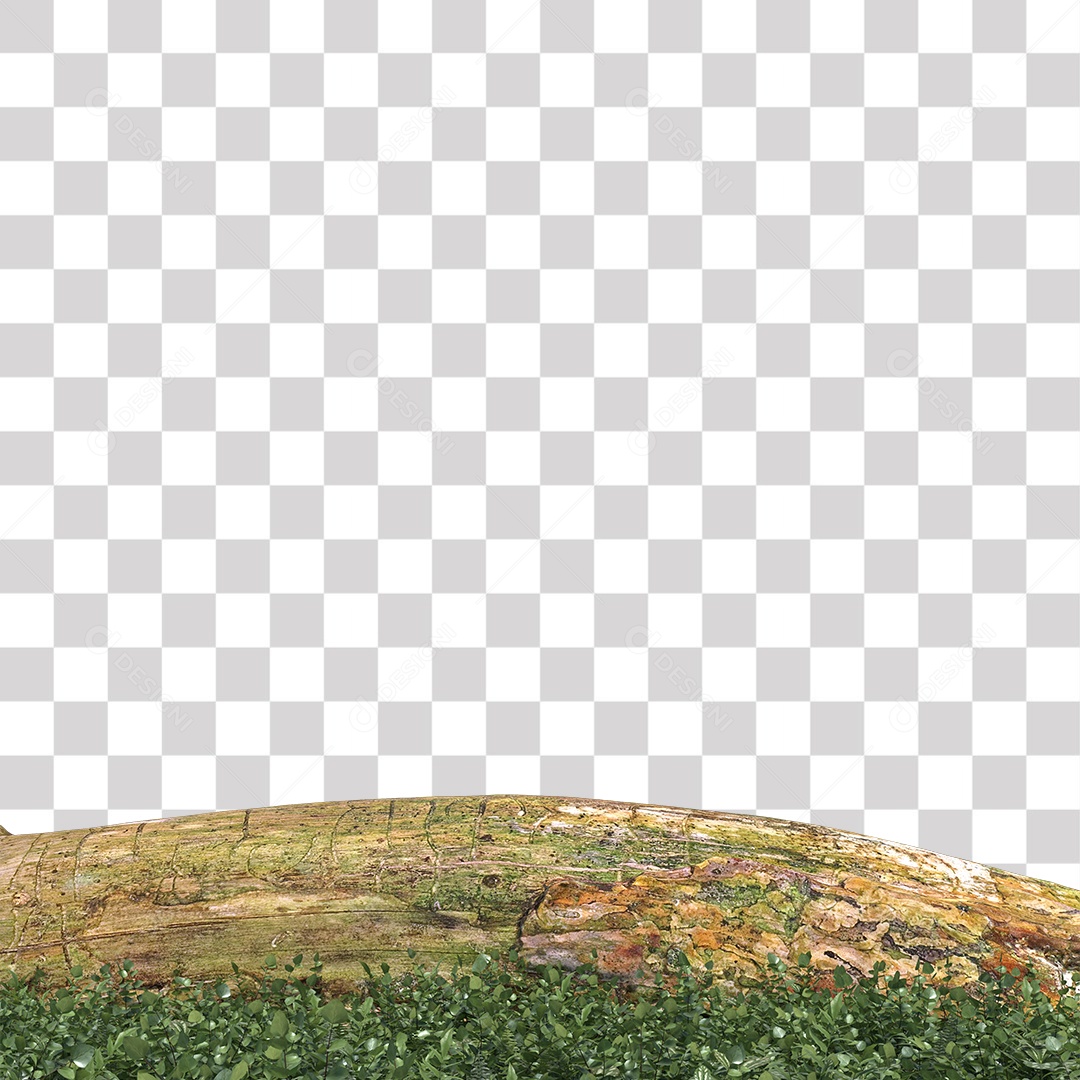 Tronco de árvore Planta PNG Transparente