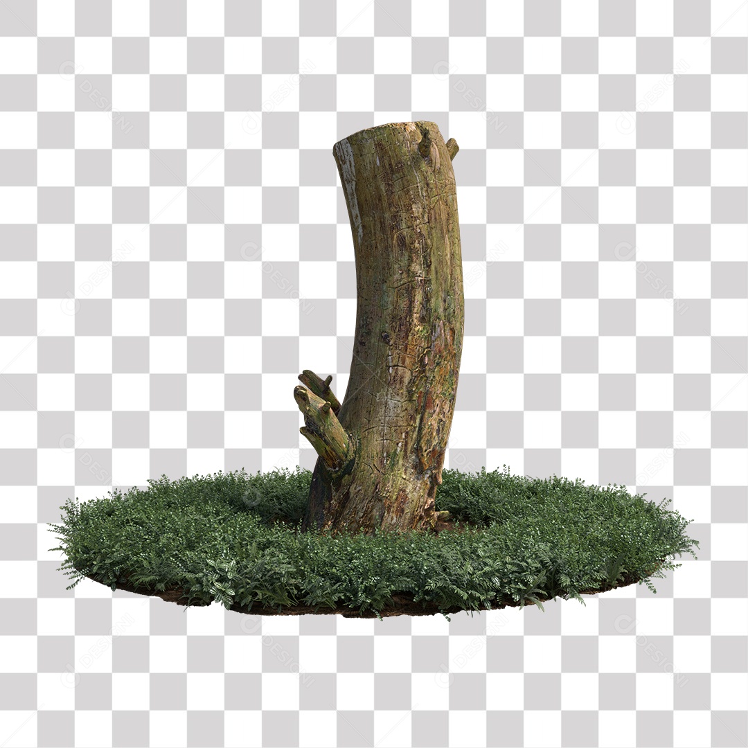 Tronco de árvore Planta PNG Transparente