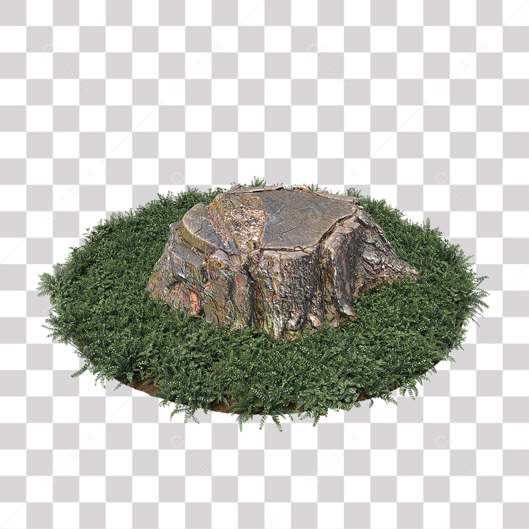 Tronco de árvore Planta PNG Transparente