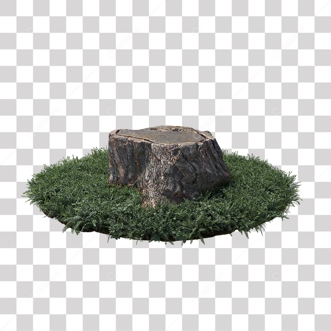 Tronco de árvore Planta PNG Transparente