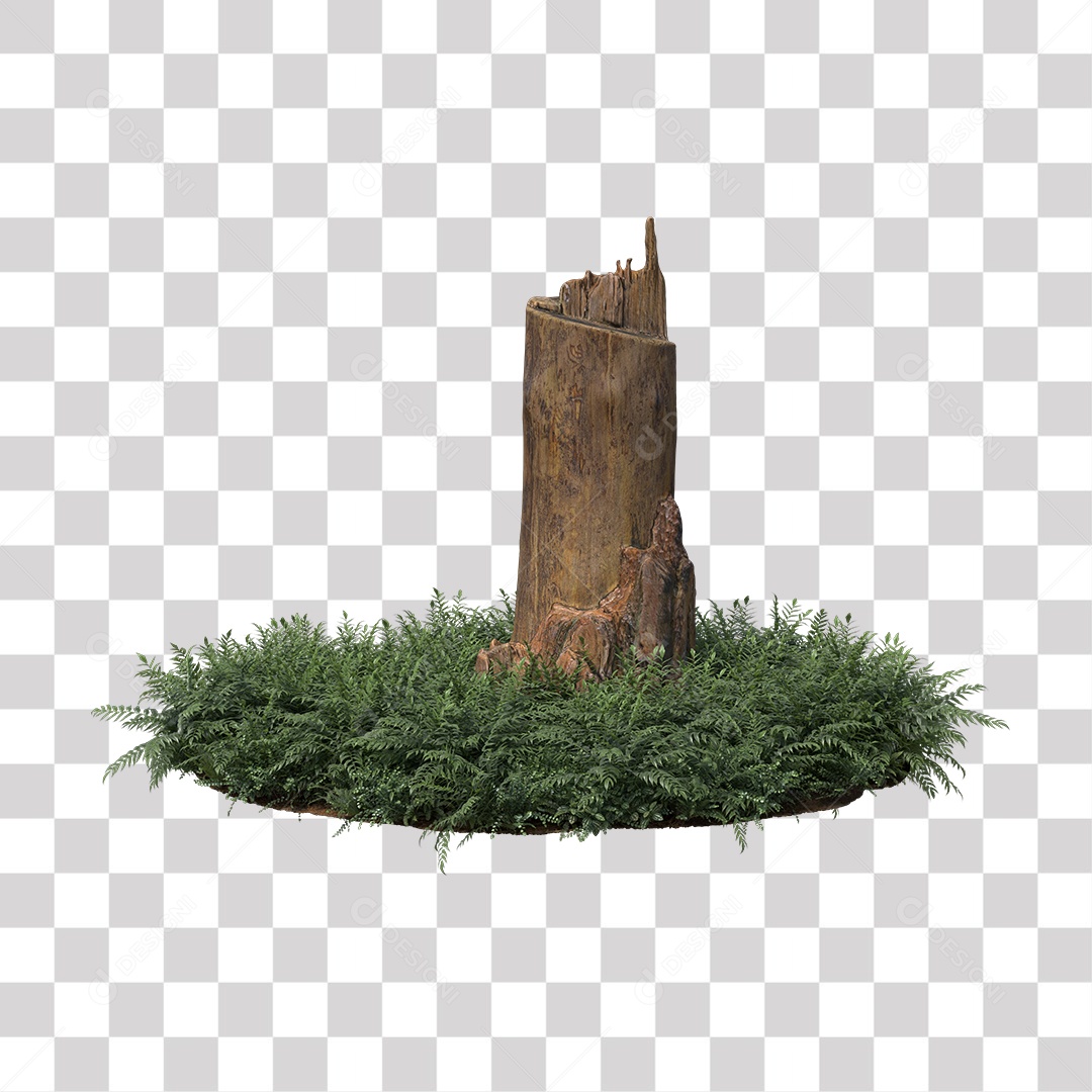 Tronco de árvore Planta PNG Transparente