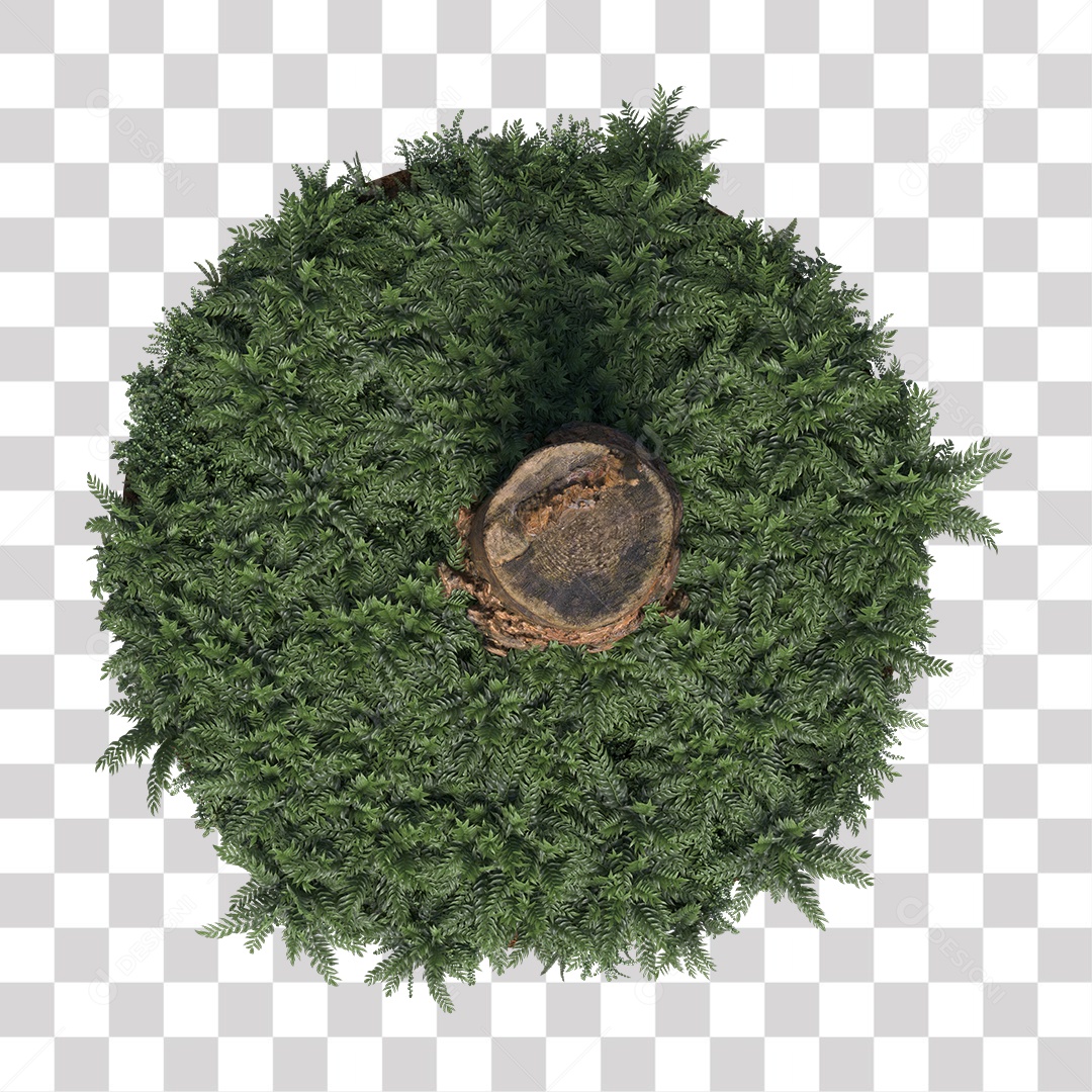 Tronco de árvore Planta PNG Transparente